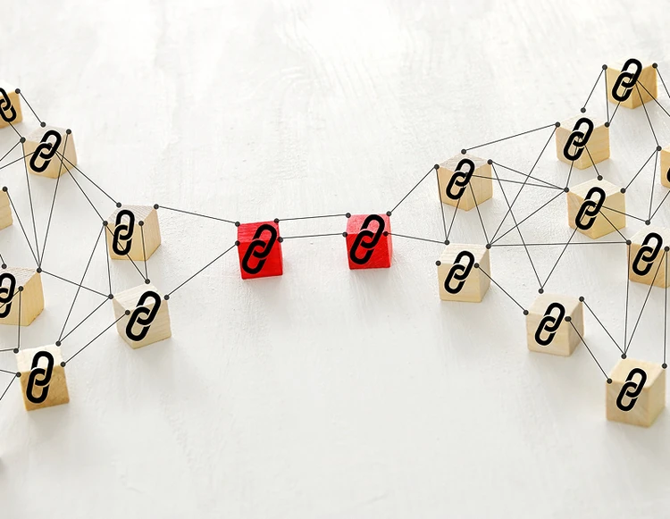 Link Building: ragnatela di link